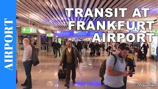 TRANSIT WALK AT FRANKFURT Airport FRA Terminal 1  Connection Flight Transfer Arriving amp Departing [upl. by Norda]